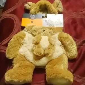 Pet costume